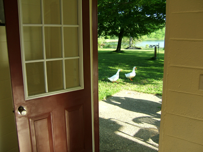 03 - Looking out the front door