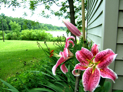 12 - Cottage in spring