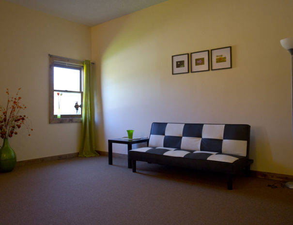 Living Room futon